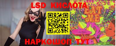 PSILOCYBIN Ирбит