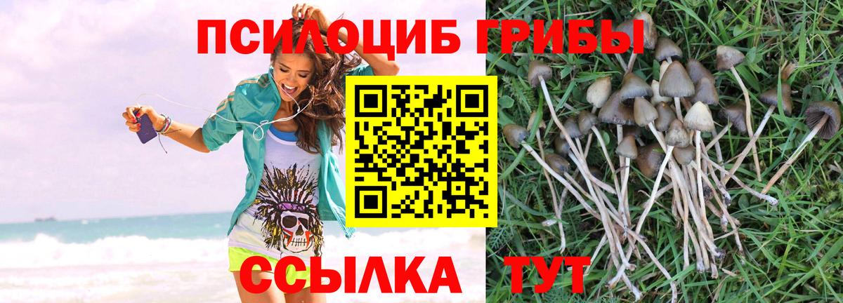 Октябрьский  Псилоцибиновые грибы прущие грибы  Вход с VPN 
