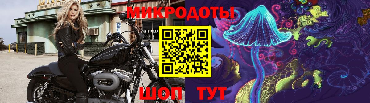 Псилоцибиновые грибы мицелий Октябрьский